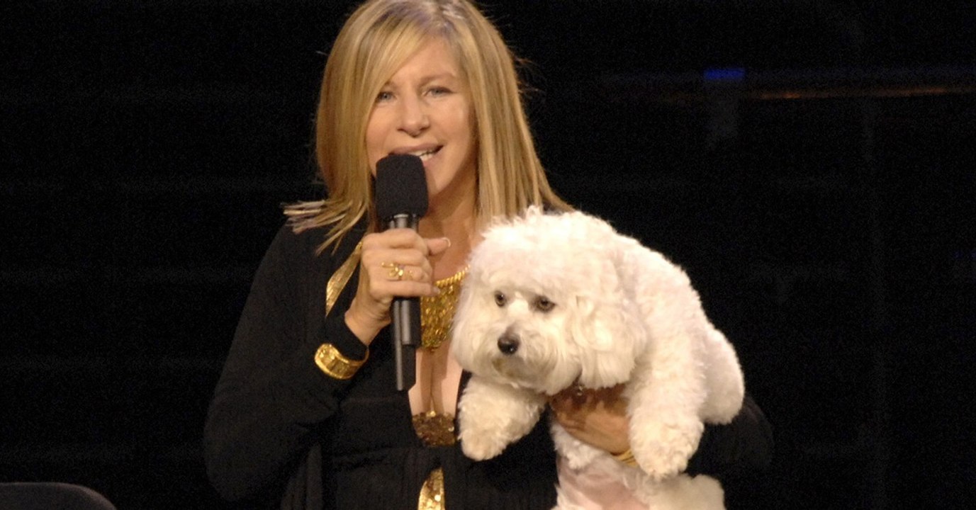Nach Tod von Hündin: Jetzt packt Barbra Streisand ganze Wahrheit aus