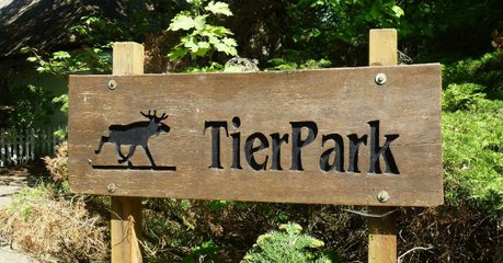 Die widerliche Geschichte hinter dem Brötchen mit den Reißnägeln