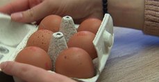 Betrug bei Bio-Eiern: So könnt ihr euch schützen