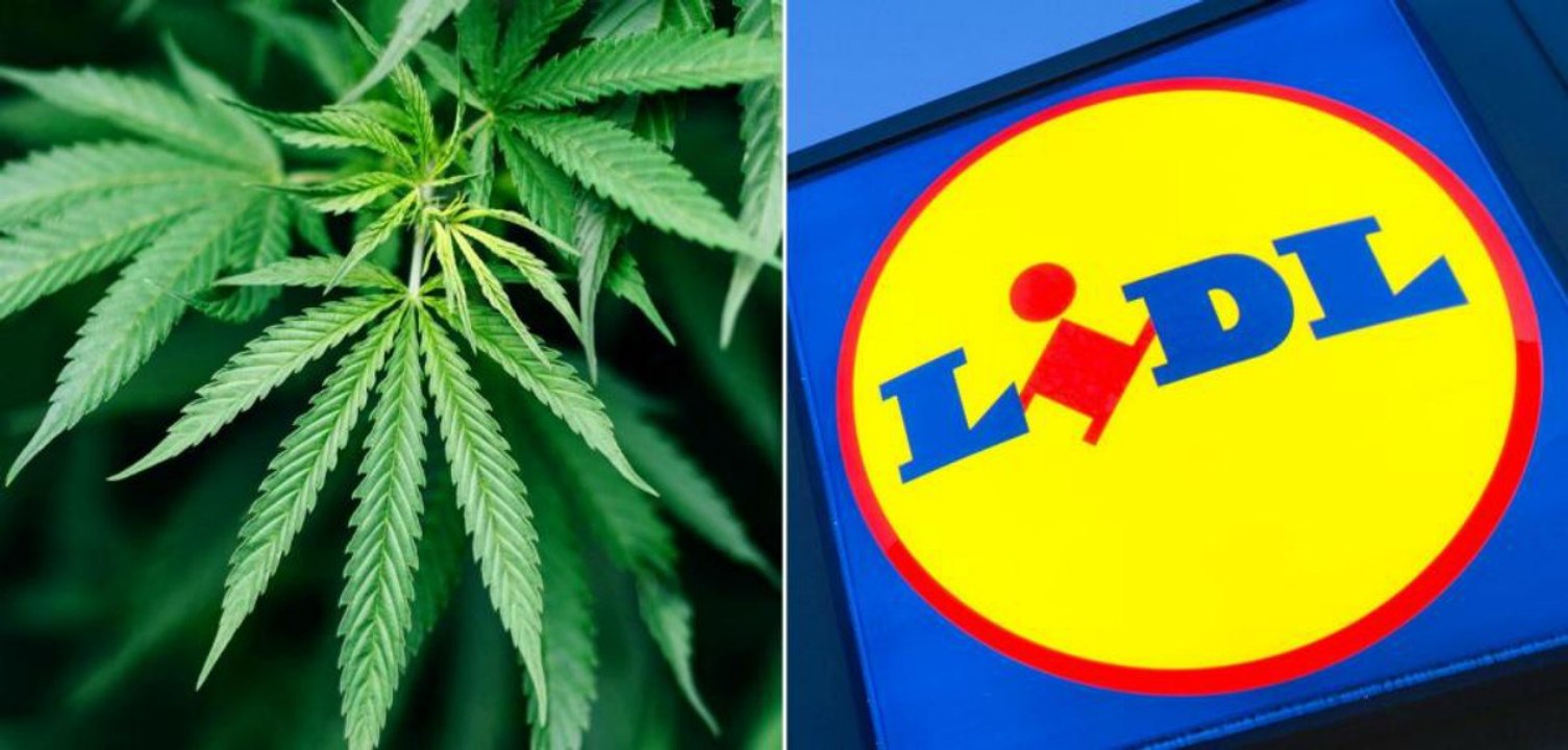 Neben Eiern, Butter und Brot: Lidl verkauft jetzt Cannabis!