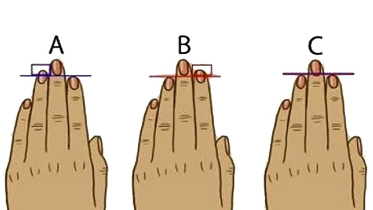 Das verraten seine Finger über die Länge seines besten Stücks