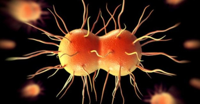 Neue Geschlechtskrankheit breitet sich rasant aus und Antibiotika wirken nicht!