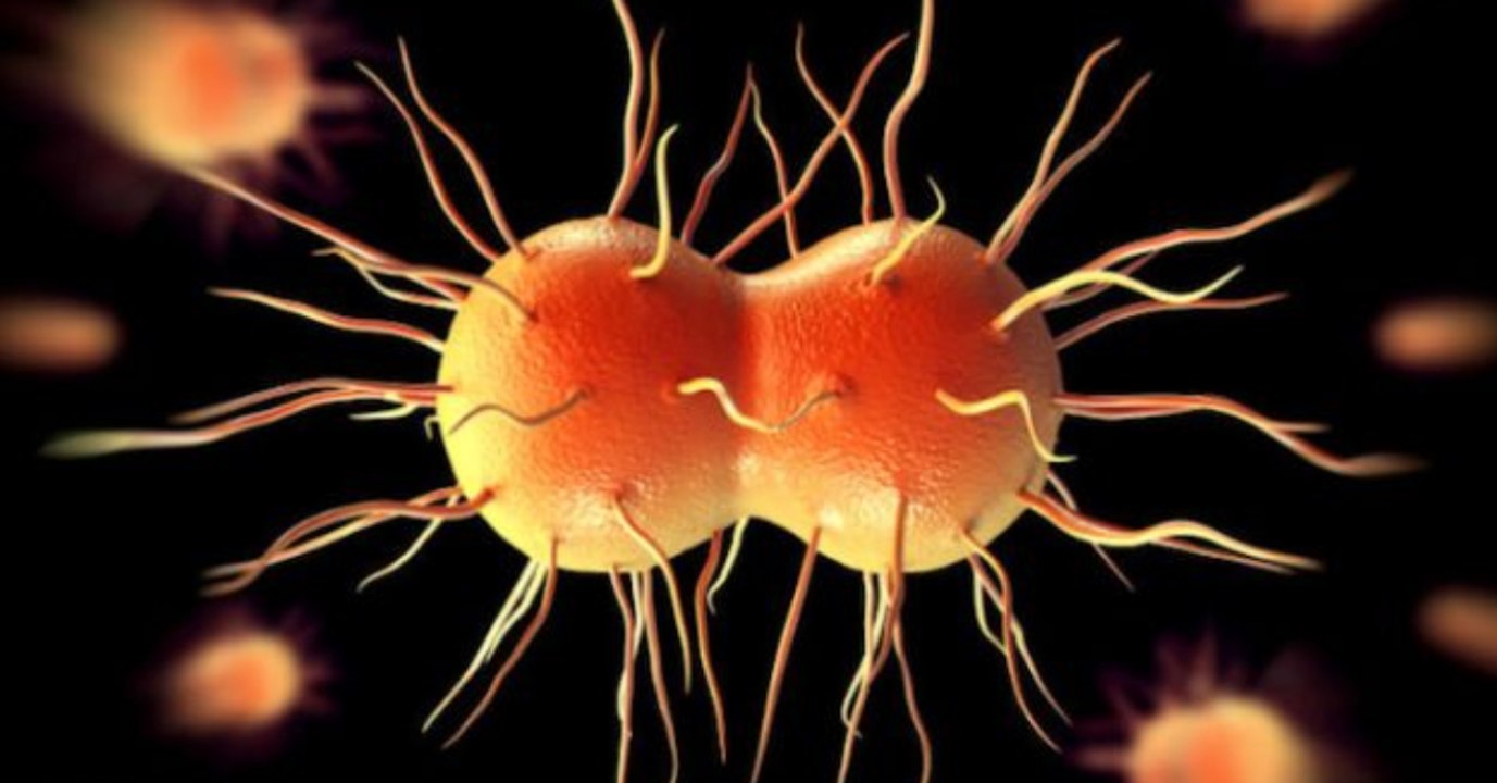 Neue Geschlechtskrankheit breitet sich rasant aus und Antibiotika wirken nicht!