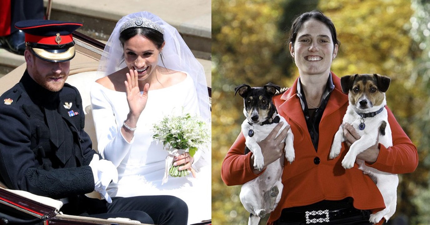 Engländerin stellt Hochzeit mit ihren Hunden nach. Manche schäumen vor Wut!