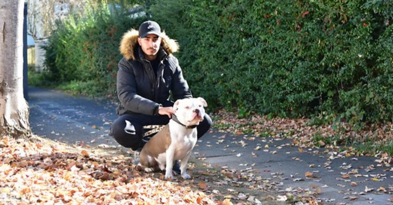 Köln: Mann macht einen grausigen Fund am Straßenrand