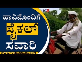 ಜೀವಂತ ಹಾವು ಕೊರಳಿಗೆ ಸುತ್ತಿ ಊರು ಸುತ್ತಾಟ | Sneke | Belagavi | TV5 Kannada
