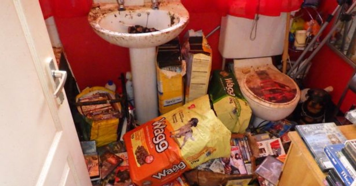 Was Tierschützer in diesem Messie-Haus finden, verschlägt ihnen den Atem