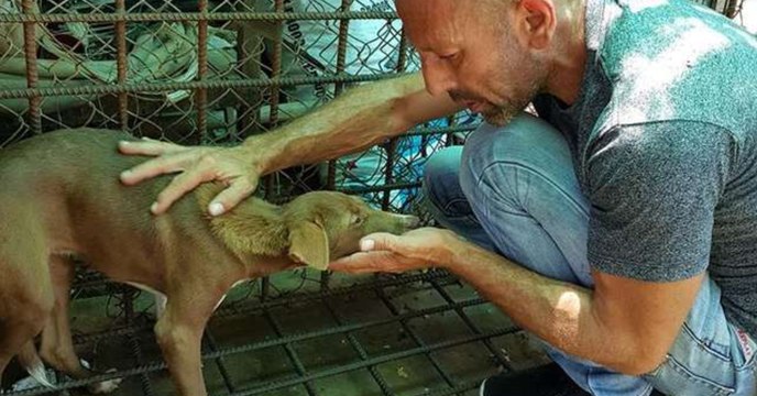 Tierschützer kann nicht fassen, wie sich der Welpe bei ihm für die Rettung bedankt