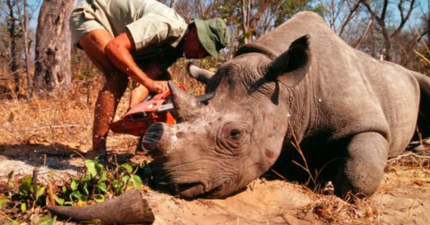 Entsetzen über China: Diese Straftat ist dort nun legal!