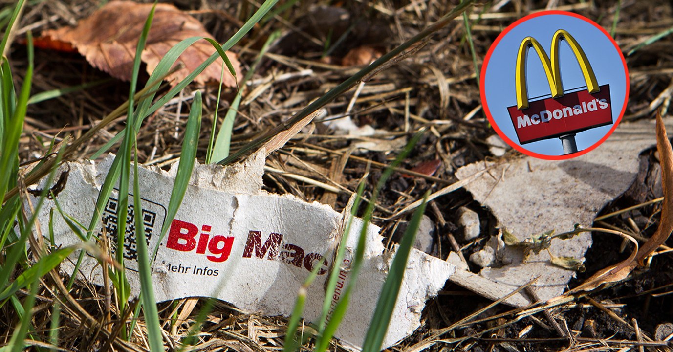 Prozess: McDonald's verliert Recht auf 'Big Mac'