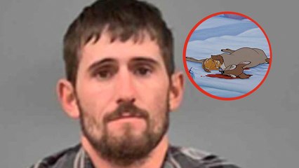 Wilderer: Er hat hunderte Rehe illegal getötet. Seine Strafe hat es in sich