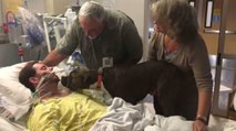 Mann verstirbt überraschend, sein Hund rührt alle zu Tränen