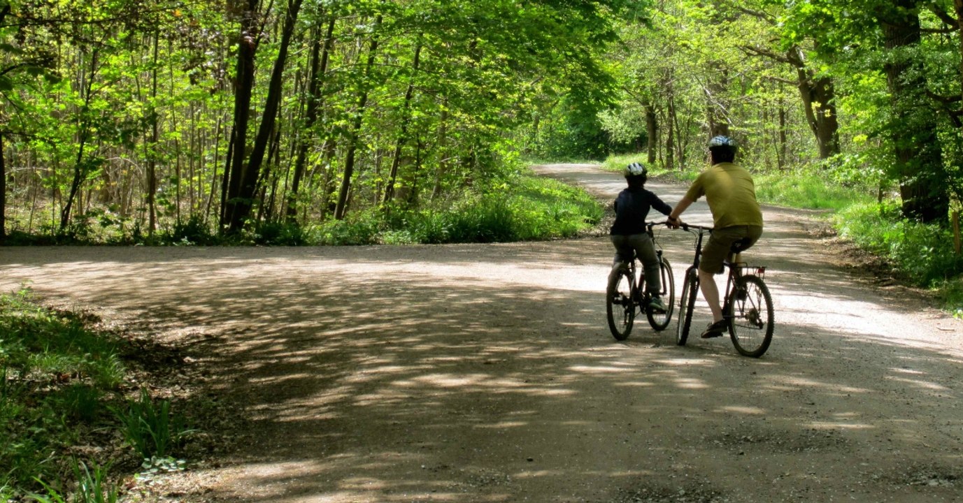 Als die radfahrer das im wald entdecken, trauen sie ihren augen nicht