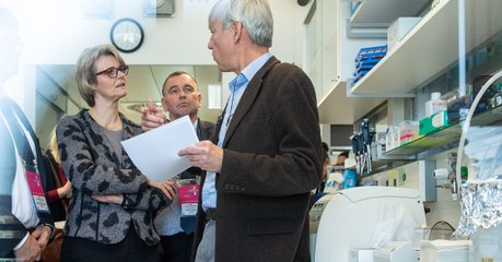 Wissenschaftler: Wir können bald Krebs heilen