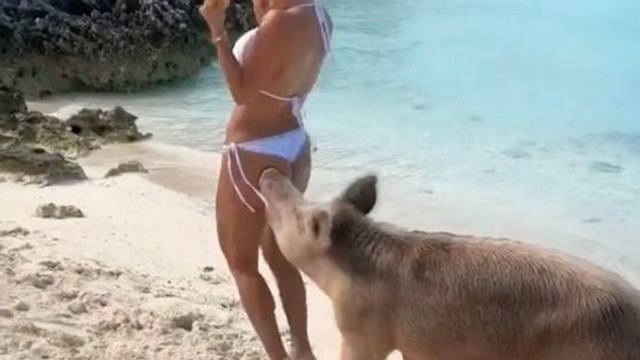So kriegt man als Influencerin auf den Bahamas blaue Flecken am Hintern (Video)