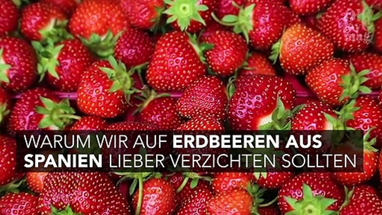 Wegen Gesundheitsgefahr: Deshalb solltet ihr keine Erdbeeren aus Spanien essen