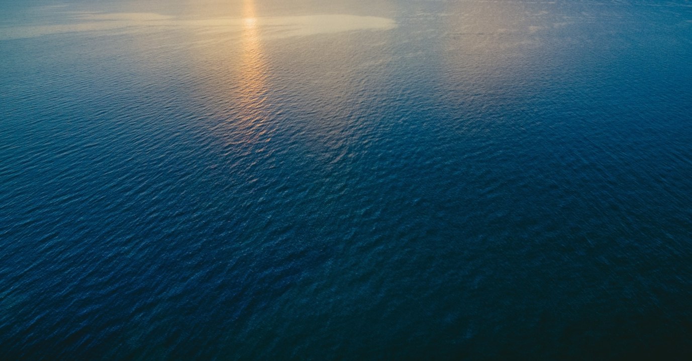 Mit seiner Drohne gelingen Patrick Clarke kostbare Aufnahmen einer seltenen Spezies