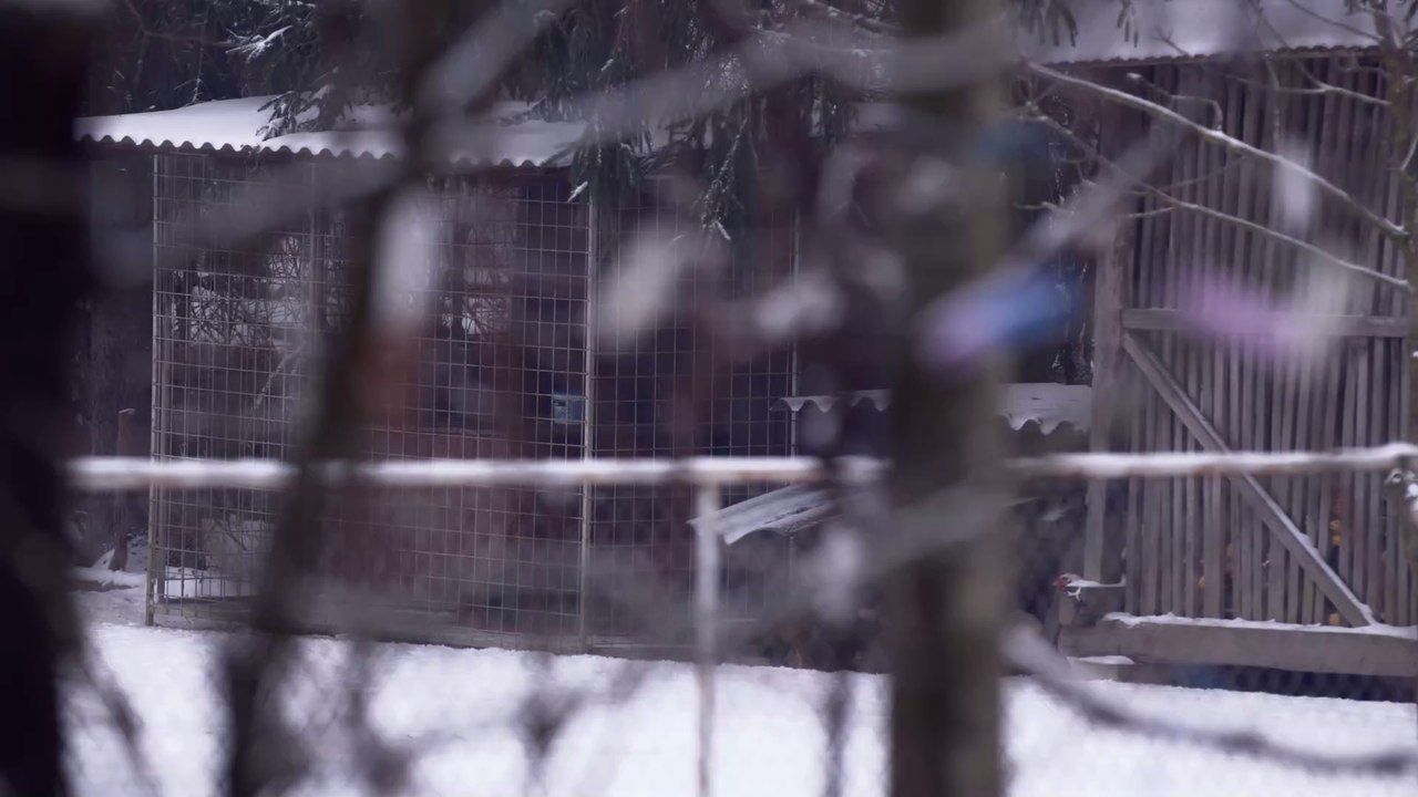 Besser als Weichspüler: Warum du deine Wäsche im Winter draußen aufhängen solltest