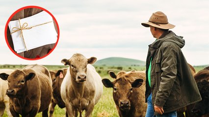 Rekordverdächtig: Dieser Frauenschwarm bekommt bei "Bauer sucht Frau" 500 Liebesbriefe