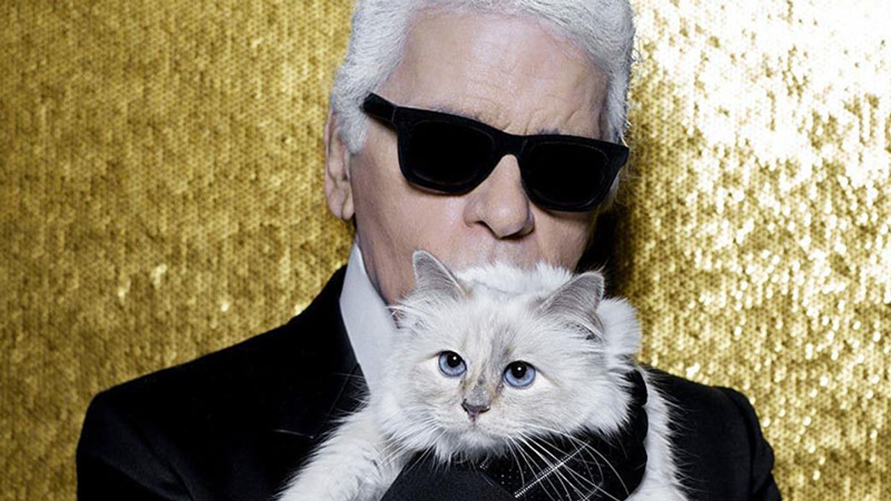 Lagerfelds Katze verschwunden: Fans starten Petition für Choupette