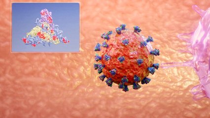 نبأ لا يريد أحد سماعه.. اكتشاف سلالة فرعية من "أوميكرون" تلقب بالشبح