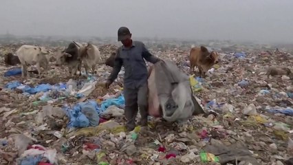 "코로나 19로 의료폐기물 급증...인간에게 위협" / YTN
