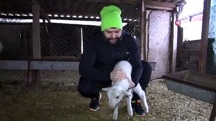 Biberon ile çocuğu gibi bakıyor