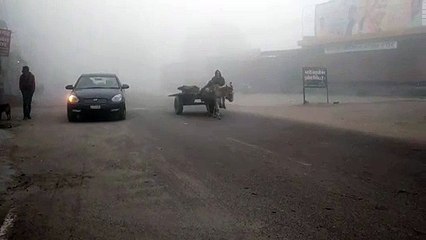 श्रीगंगानगर जिले में छाया कोहरा, रबी फसलों को मिलेगा लाभ