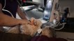 Pet Illness Exams in El Dorado Hills, CA | Insight Veterinary Wellness Center