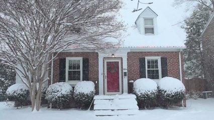 Ein Weihnachtswunder: Diese Katze überrascht ihre Familie pünktlich zum Fest