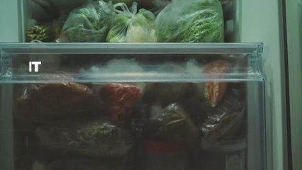 Reise-Hack: Kennst du schon den Trick mit der Münze im Eisfach?