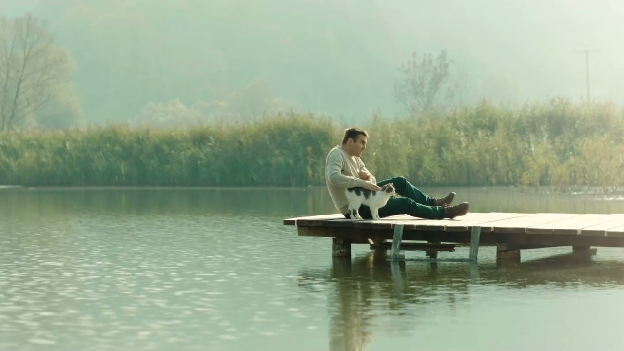 Katze vs. Hund: Die beiden Haustiere im großen Vergleich