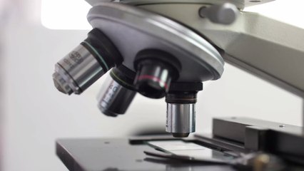 Coronavirus-Herkunft: Forscherin bereut ihre neuesten Entdeckungen!