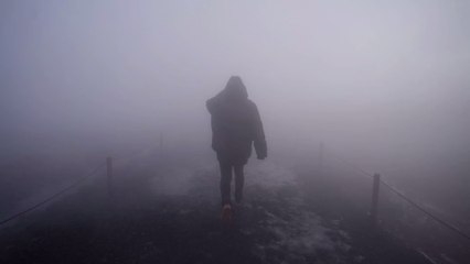 Braucht mein Hund eine "Maulkorb-Maske"?