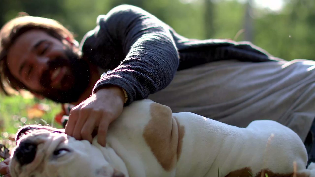 Merkwürdiges Verhalten: Dieser Hund starrt tagelang an die Wand, dann entdeckt der Besitzer den Grund