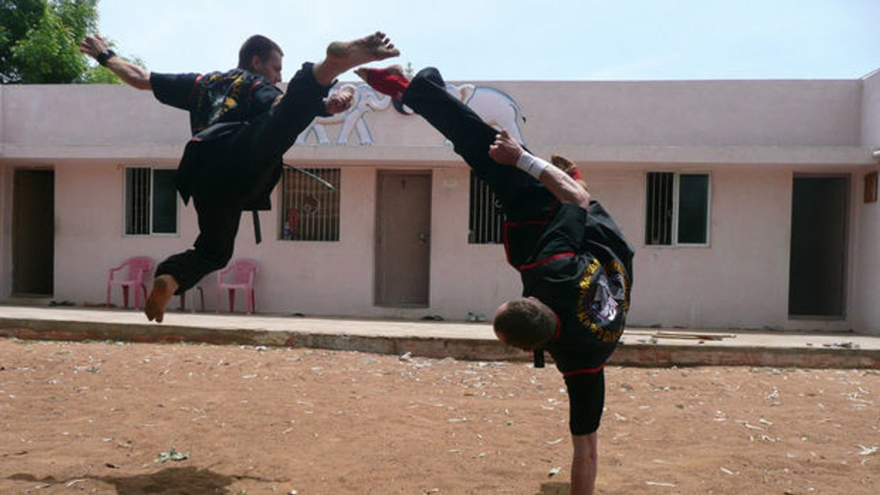 Kung-Fu vs. Taekwondo