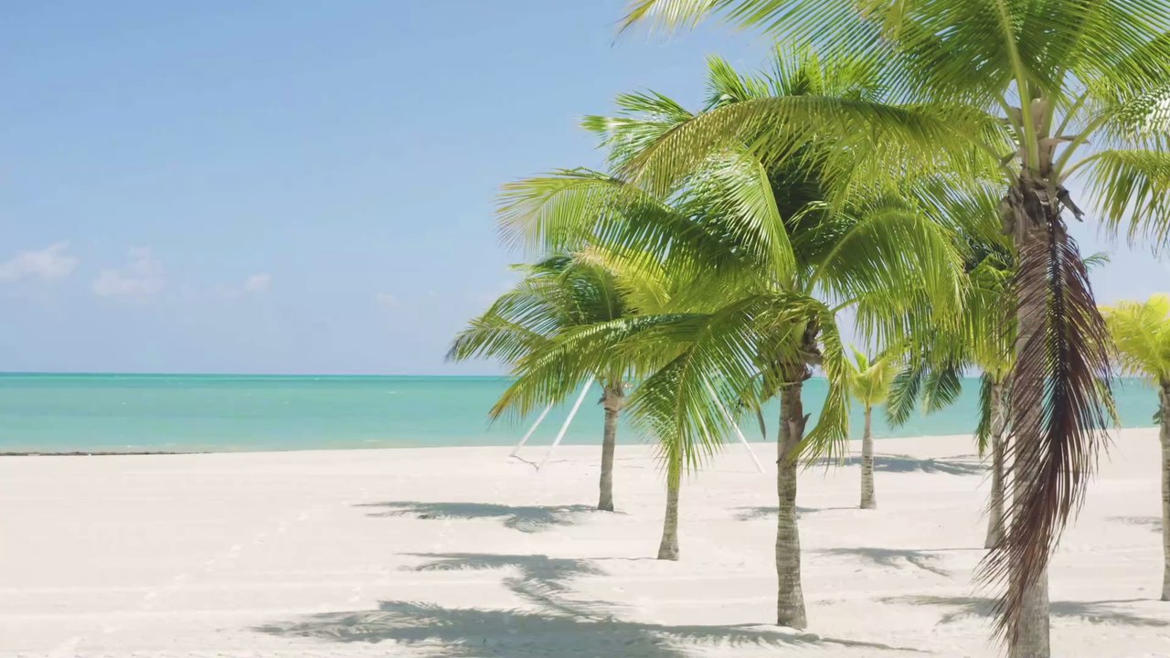 'Promis unter Palmen': Georgina Fleur durch Reality-Queen ersetzt!