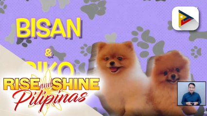 Makikulit kasama ang bibo at cute na sina Bisan at Biko