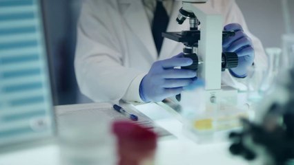 "Keine Überraschung": Schweine können mit ihren Schnauzen Videospiele spielen