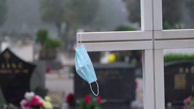 Verstorbenes Frauchen: Zwei Katzen infizieren sich mit Corona und kommen ins Tierheim