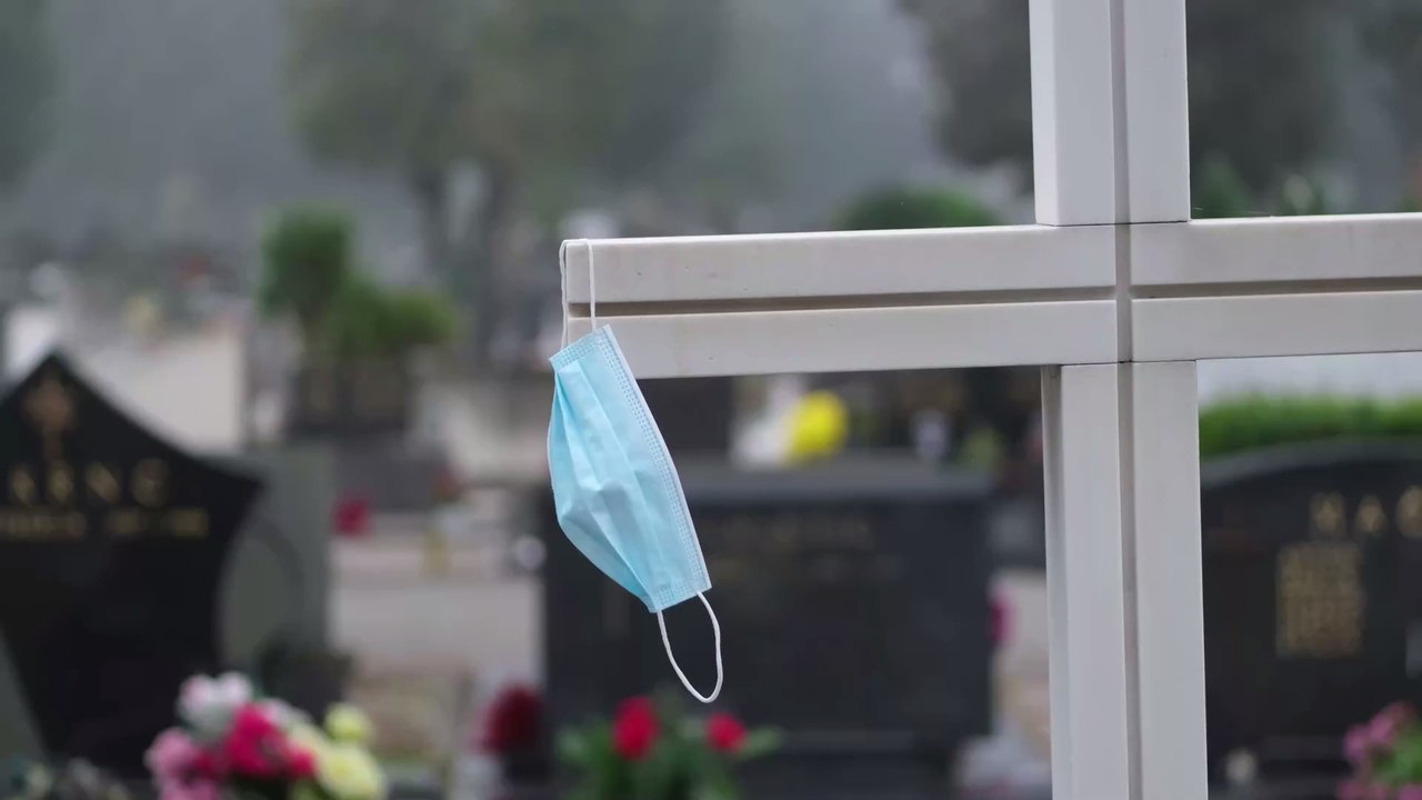 Verstorbenes Frauchen: Zwei Katzen infizieren sich mit Corona und kommen ins Tierheim