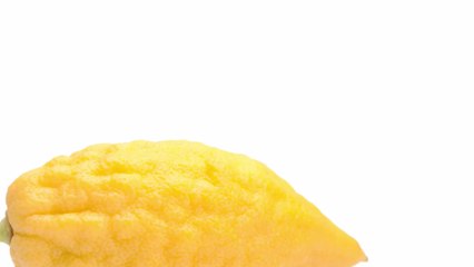 Wundermittel Zitrone: Ein besseres Gedächtnis und weniger Angst