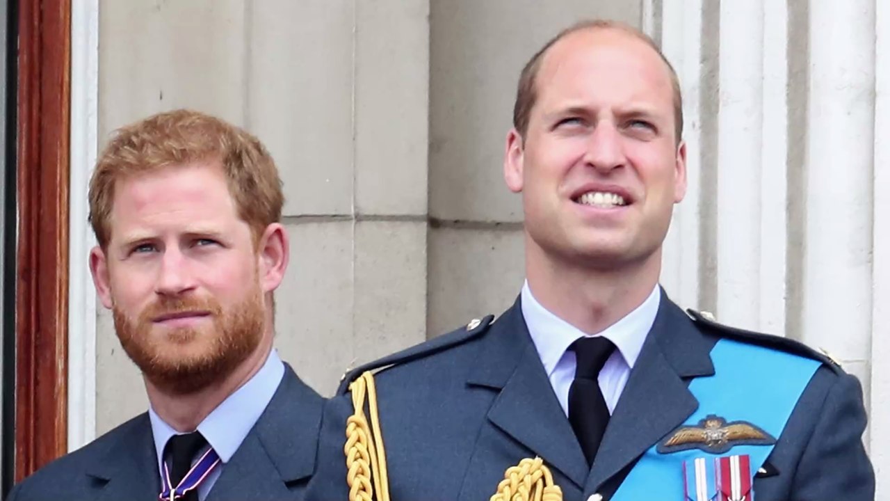 William und Harry: Bringt Statue von Lady Di die Brüder wieder zusammen?