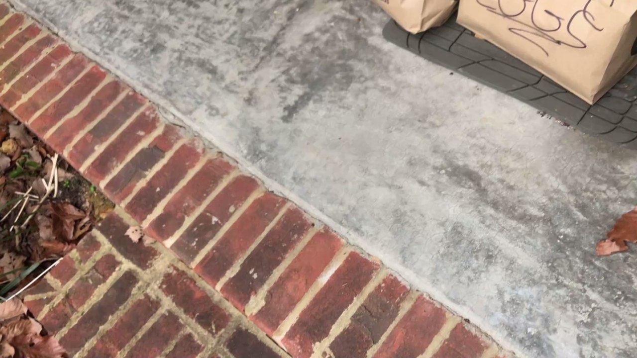 Just Eat-Fahrer stiehlt Katze des Kunden, um 'Mäusebefall im Restaurant zu bekämpfen'