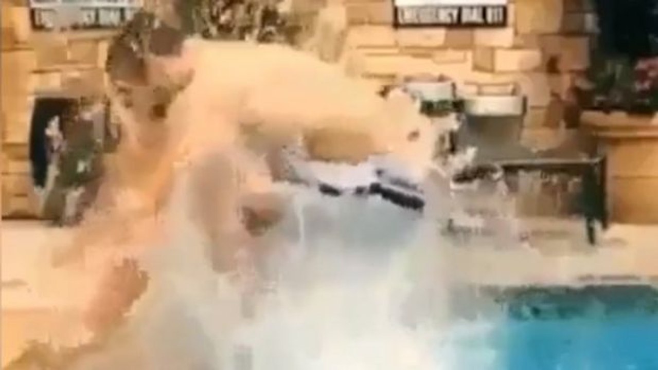 Eine Beinübung, die noch besser ist als Burpees