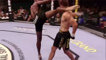 UFC: Das prächtige  K.O. des Yves Edwards, der Josh Thomson zu Boden bringt