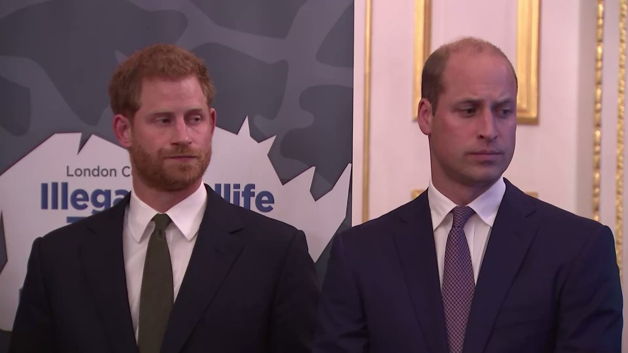 Royale Beerdigung: Das haben Prinz William und Harry wirklich besprochen