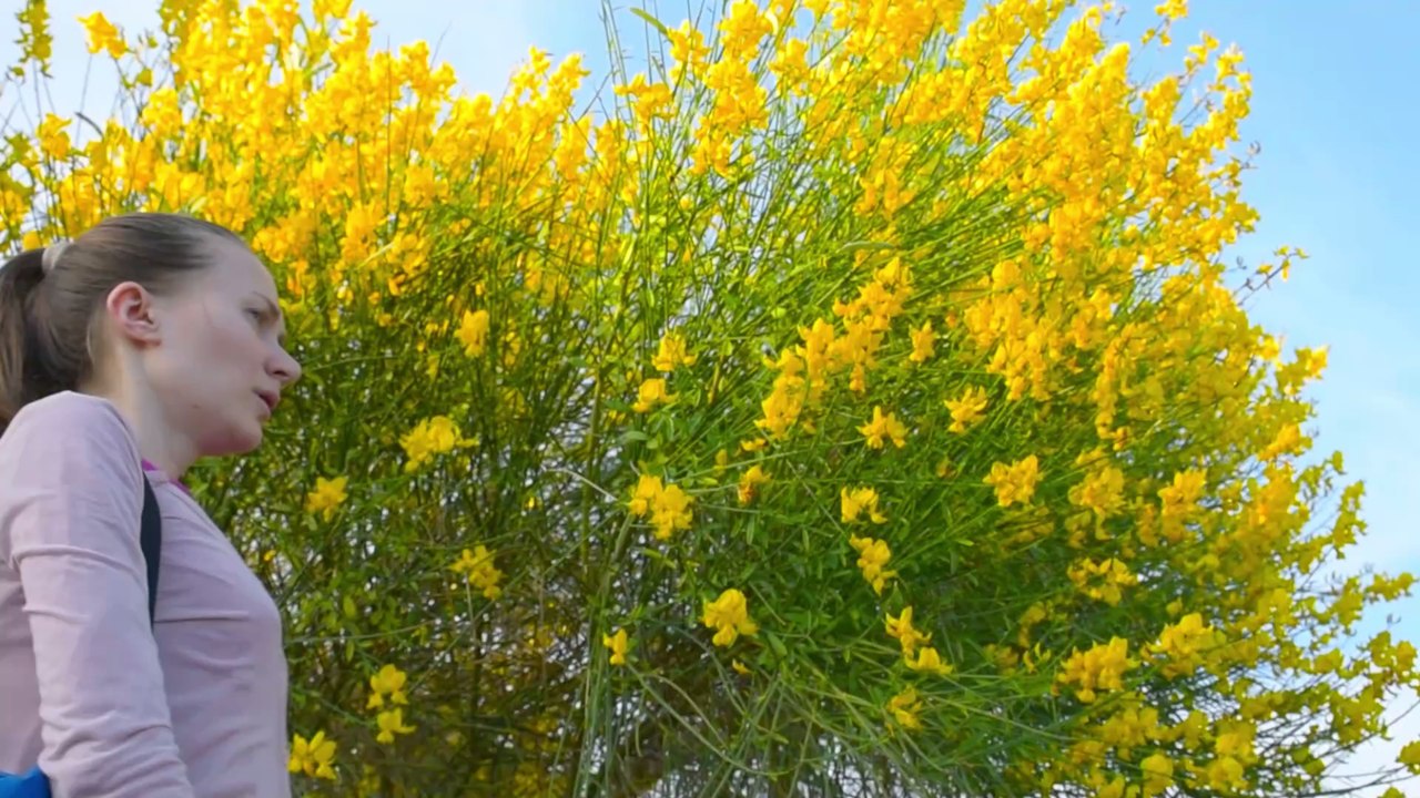 Neues Wundermittel entdeckt: So gut hilft Vitamin D bei Allergien