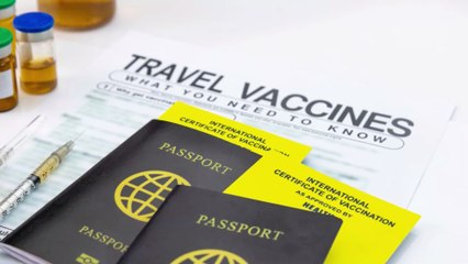 Digitaler Impfpass: Was du wissen musst