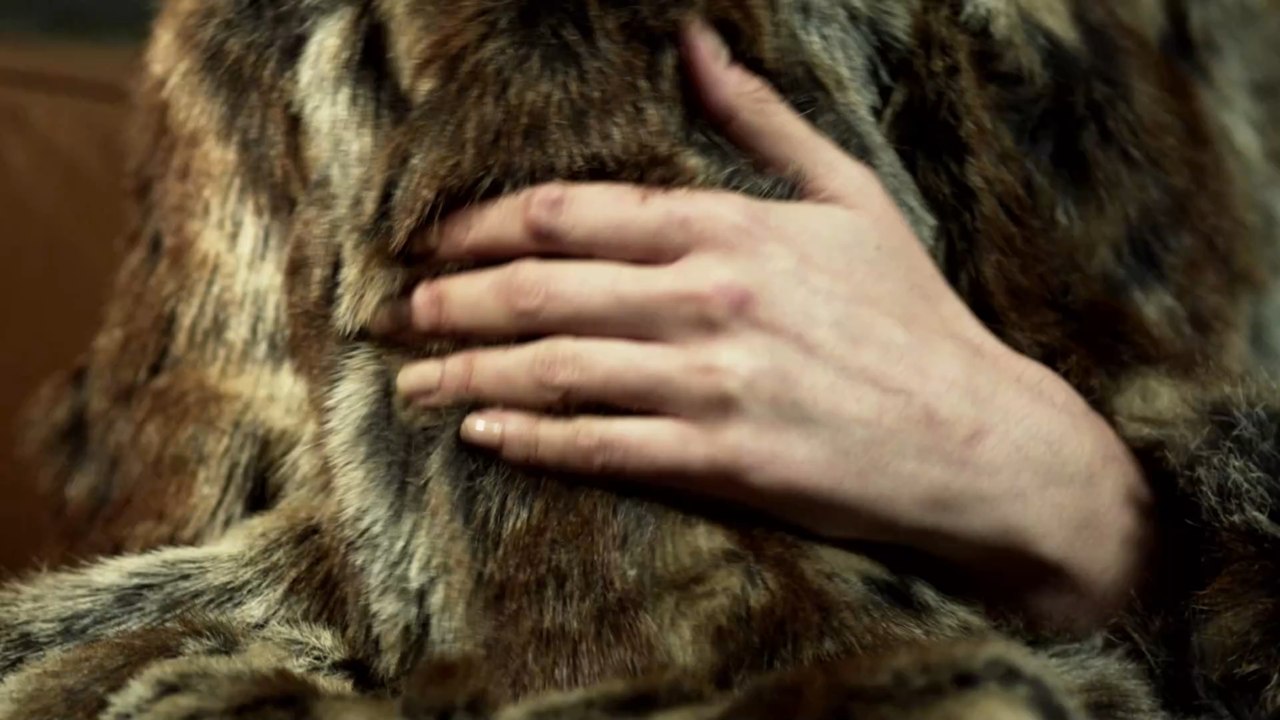 Israel verbietet weltweit den Handel mit Pelzen